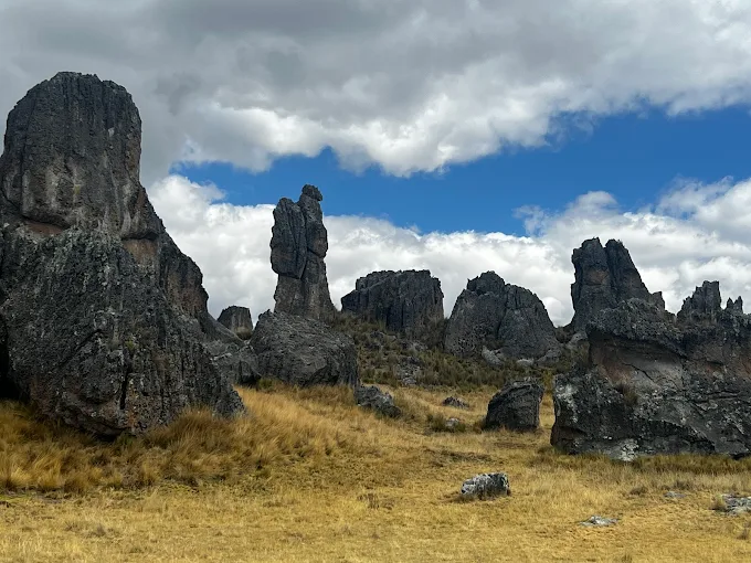 Bosque de piedras